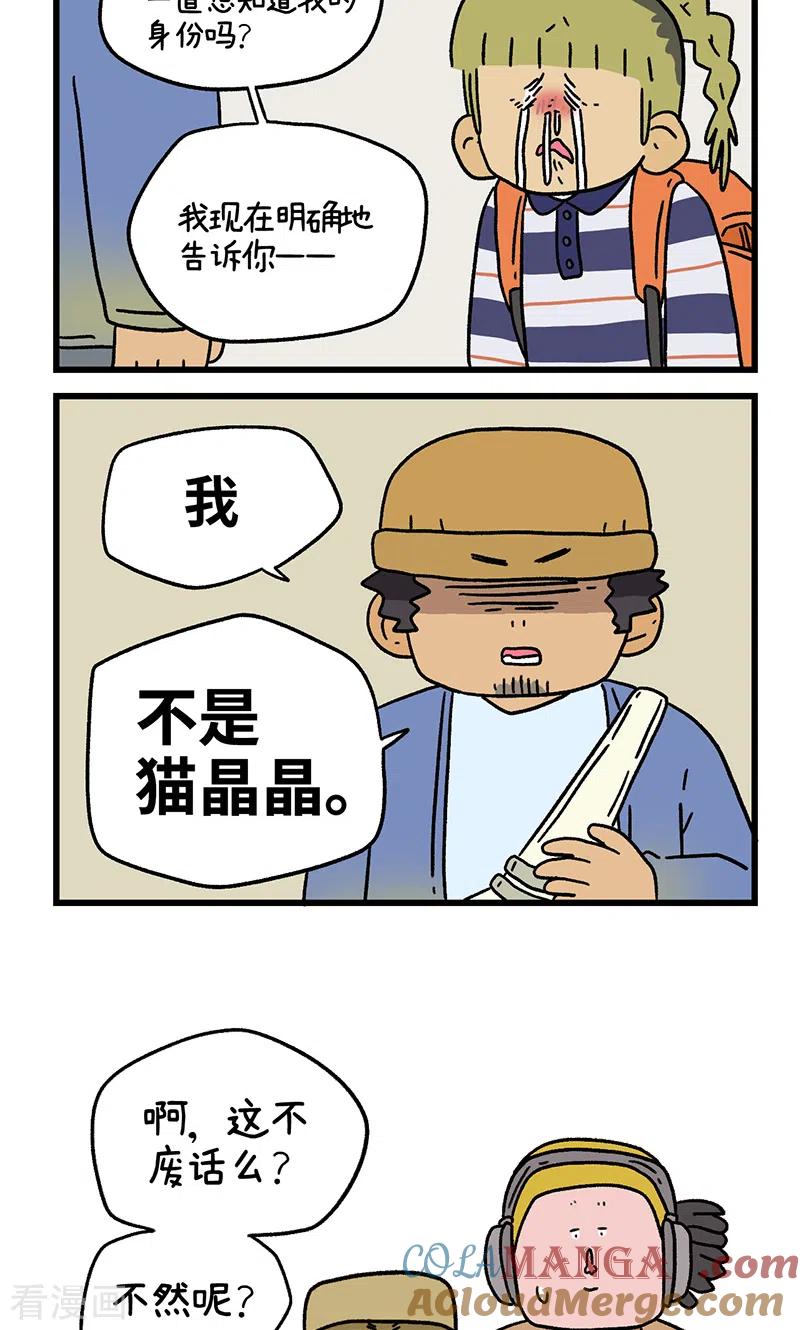 第114话猫晶晶疑云8-阿满和麦茶-新漫画 日胖大海寺（第6张）