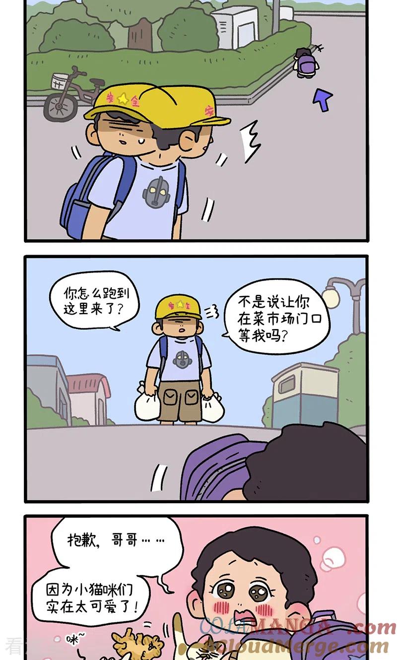 第115话猫晶晶疑云9-阿满和麦茶-新漫画 日胖大海寺（第2张）