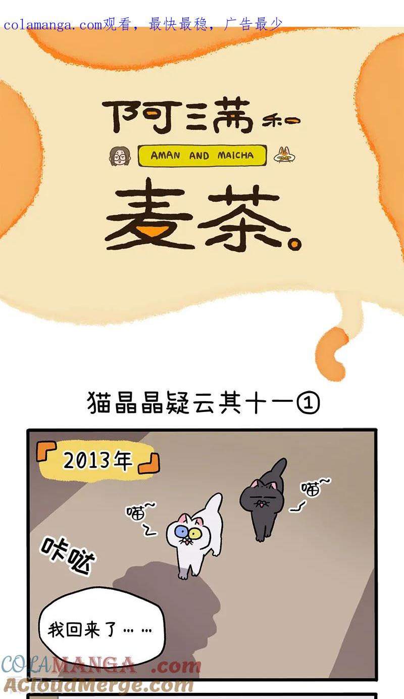 第117话1猫晶晶疑云11-阿满和麦茶-新漫画 日胖大海寺（第1张）