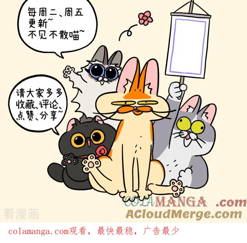 第117话1猫晶晶疑云11-阿满和麦茶-新漫画 日胖大海寺（第8张）