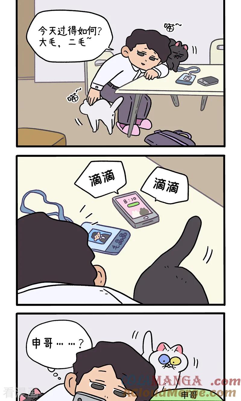 第117话1猫晶晶疑云11-阿满和麦茶-新漫画 日胖大海寺（第2张）