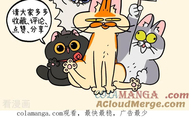 第117话2猫晶晶疑云11-阿满和麦茶-新漫画 日胖大海寺（第9张）