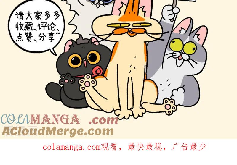 第118话猫晶晶疑云12-阿满和麦茶-新漫画 日胖大海寺（第9张）