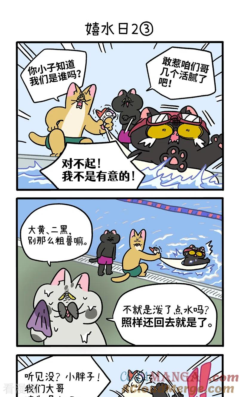 番外26上嬉水日2-阿满和麦茶-新漫画 日胖大海寺（第5张）