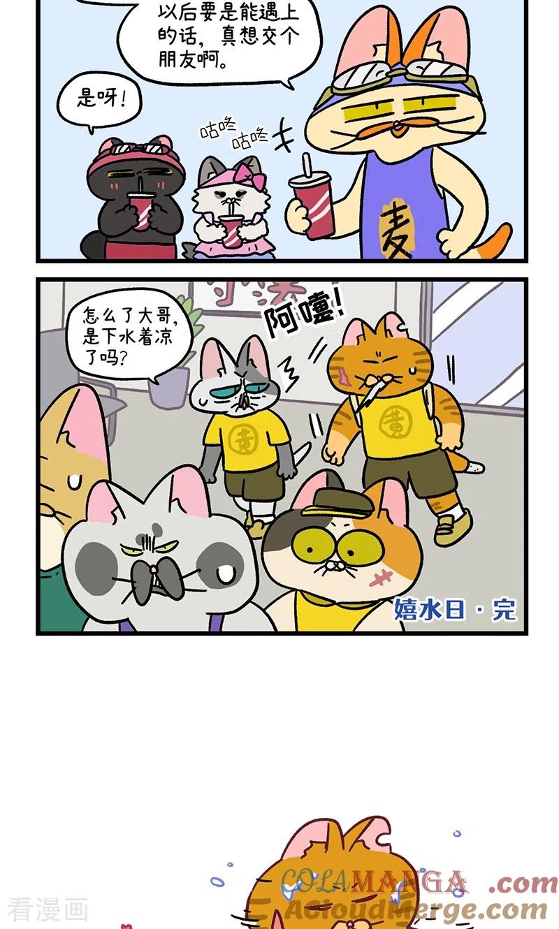 番外26下嬉水日2-阿满和麦茶-新漫画 日胖大海寺（第6张）