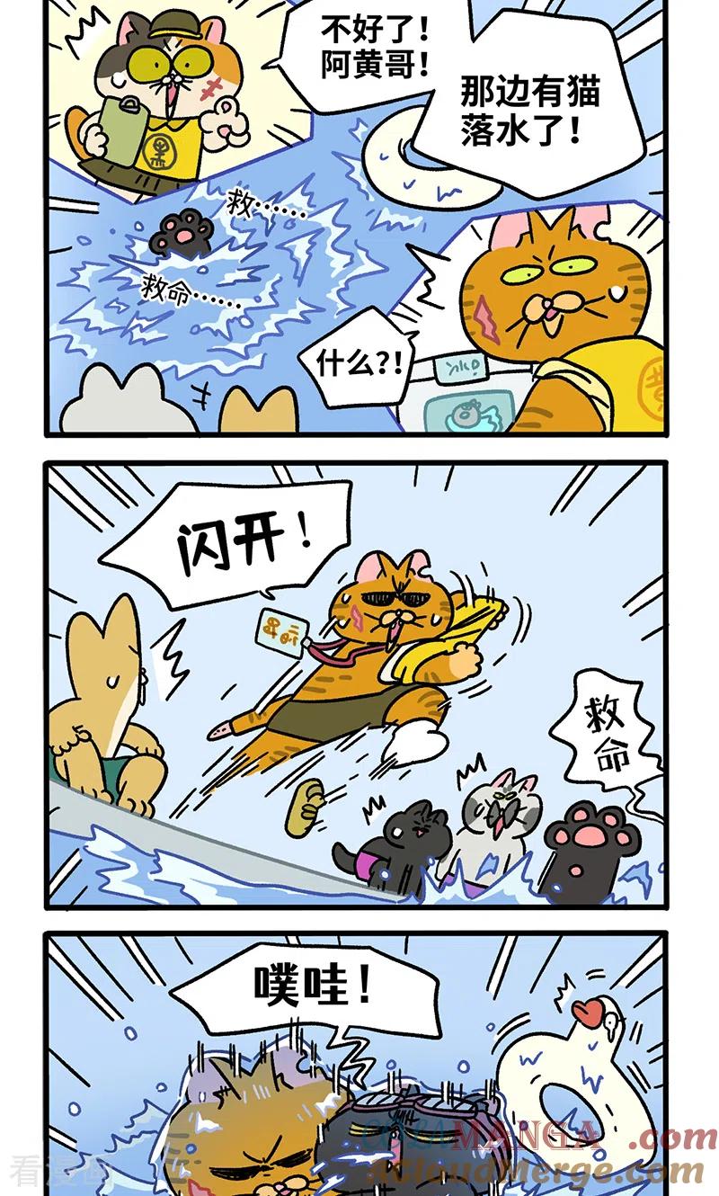 番外26下嬉水日2-阿满和麦茶-新漫画 日胖大海寺（第2张）