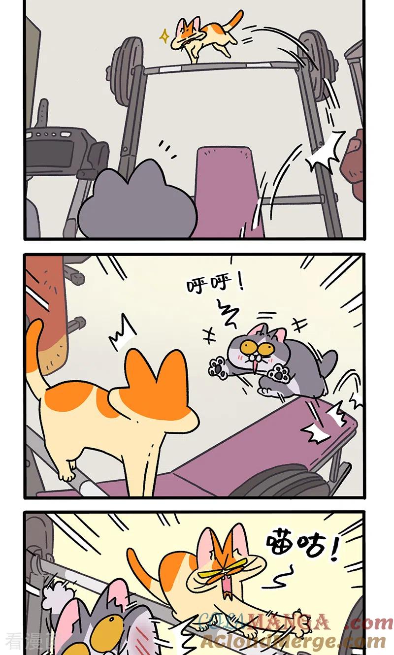 第120话2申静健身房-阿满和麦茶-新漫画 日胖大海寺（第2张）