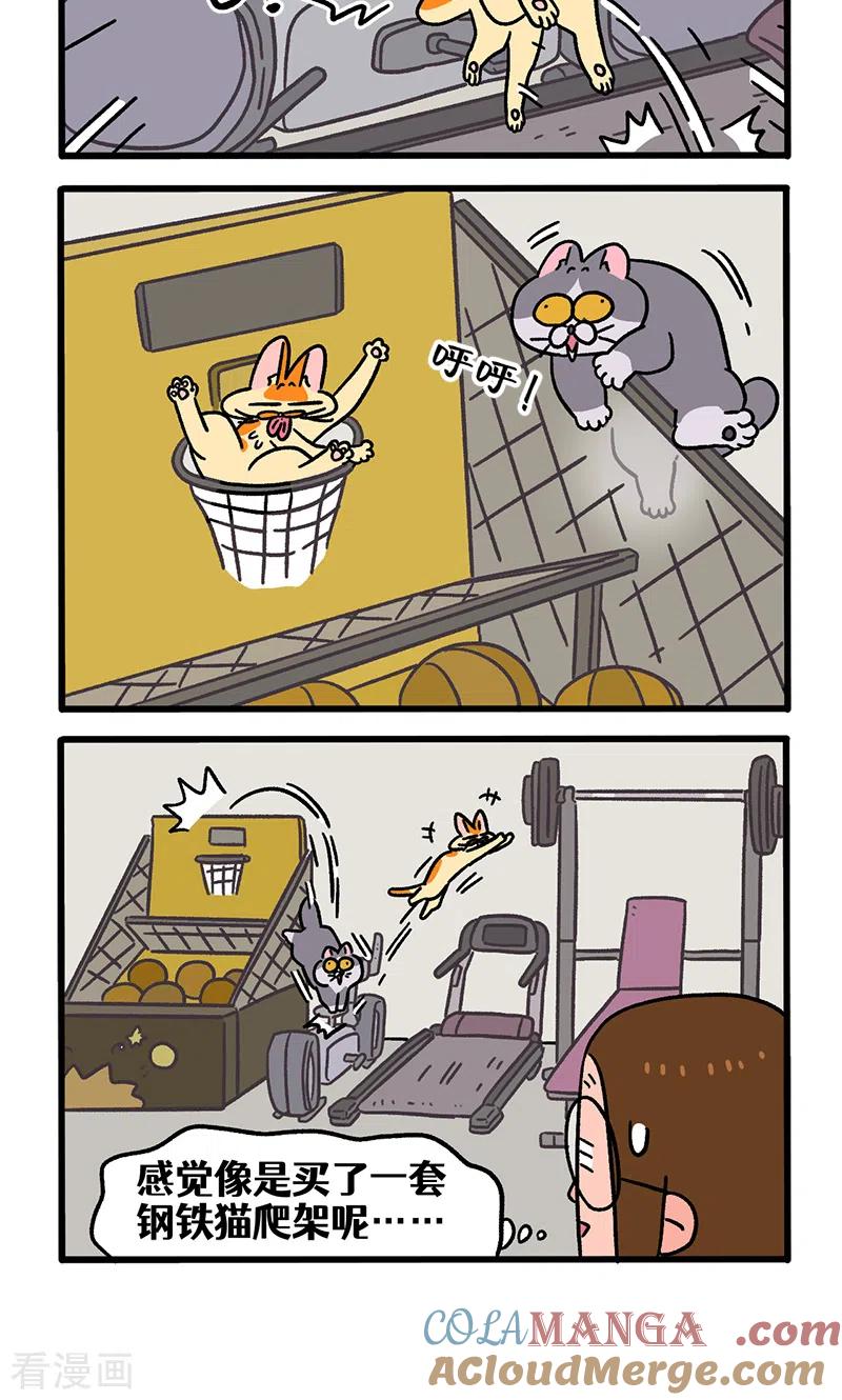 第120话2申静健身房-阿满和麦茶-新漫画 日胖大海寺（第4张）