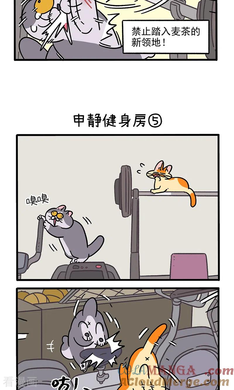 第120话2申静健身房-阿满和麦茶-新漫画 日胖大海寺（第3张）