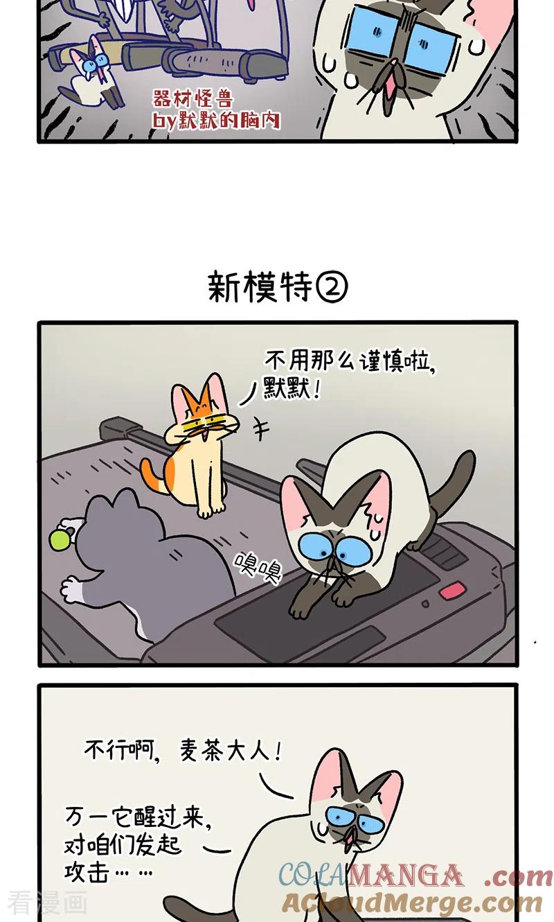 第121话1新模特-阿满和麦茶-新漫画 日胖大海寺（第3张）