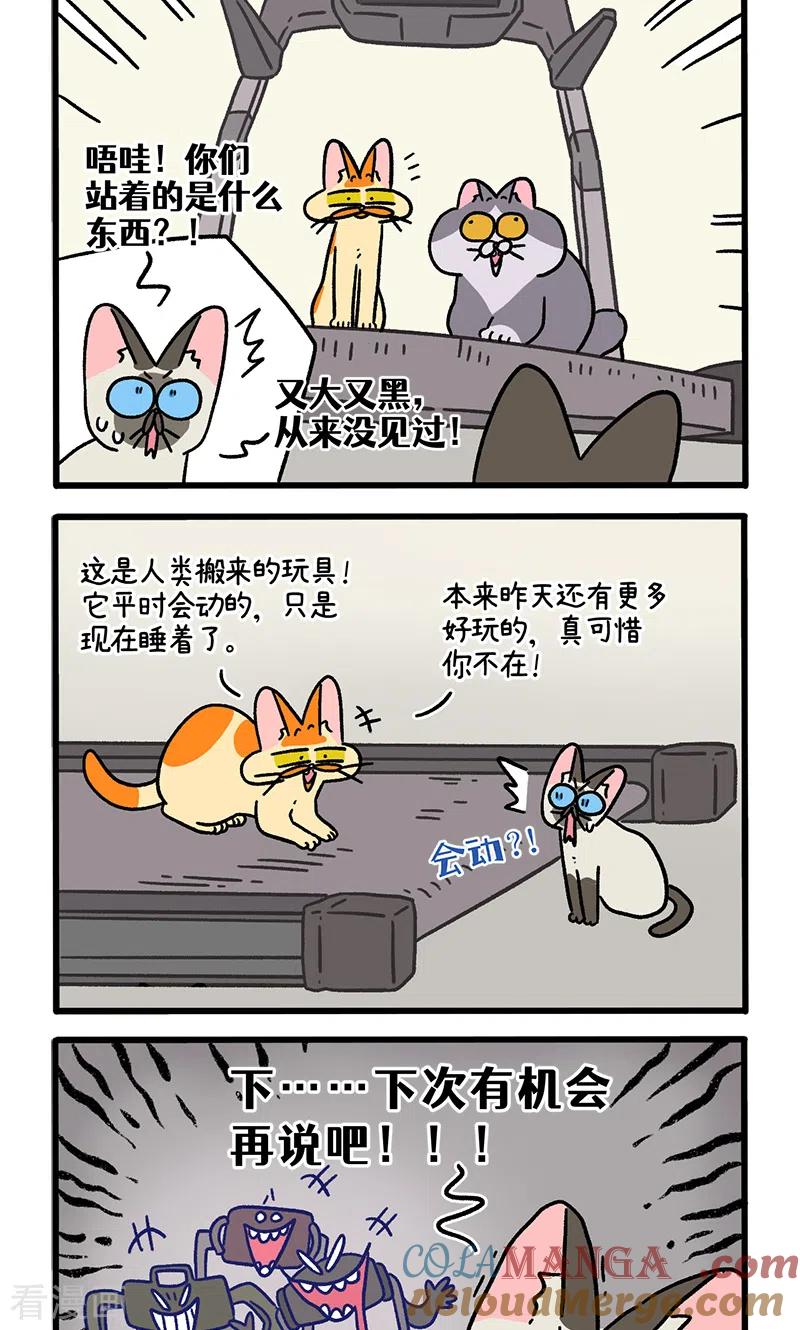 第121话1新模特-阿满和麦茶-新漫画 日胖大海寺（第2张）