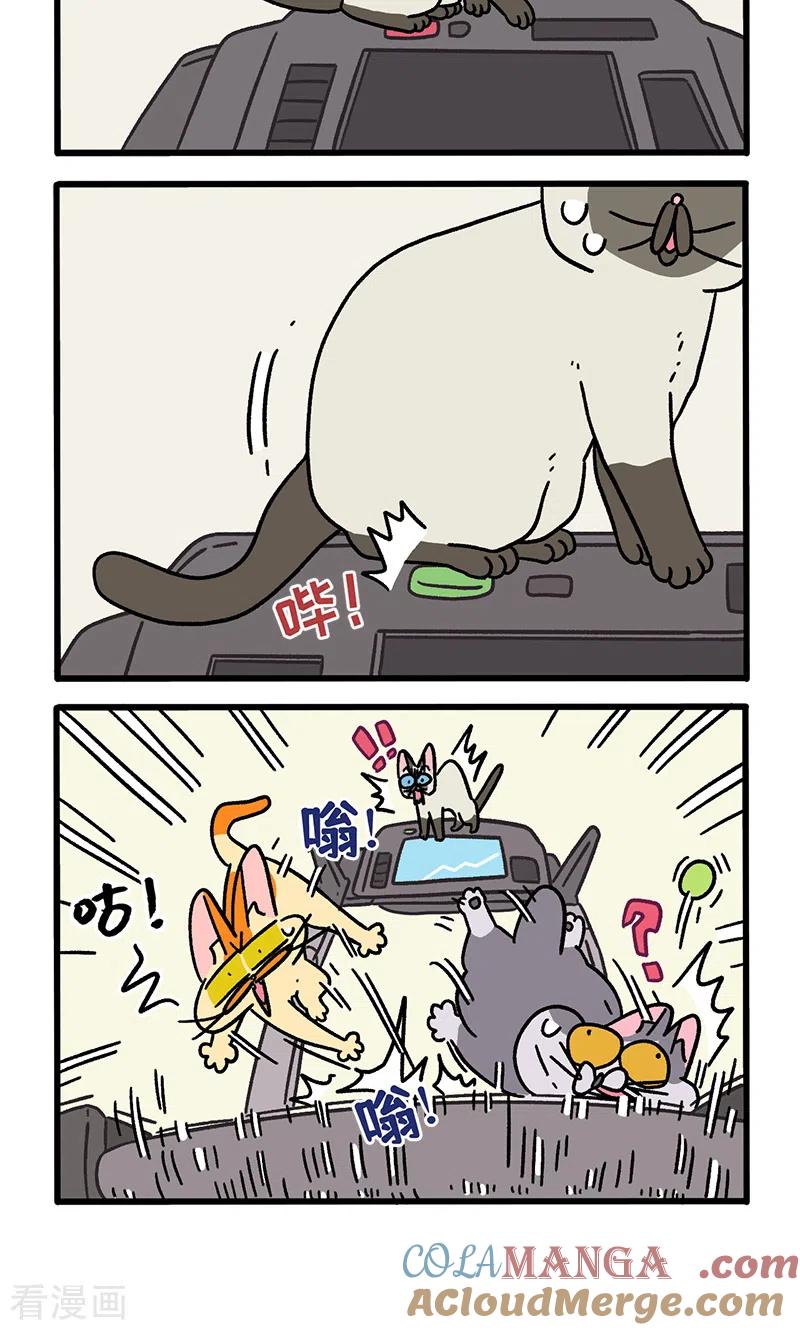第121话1新模特-阿满和麦茶-新漫画 日胖大海寺（第4张）