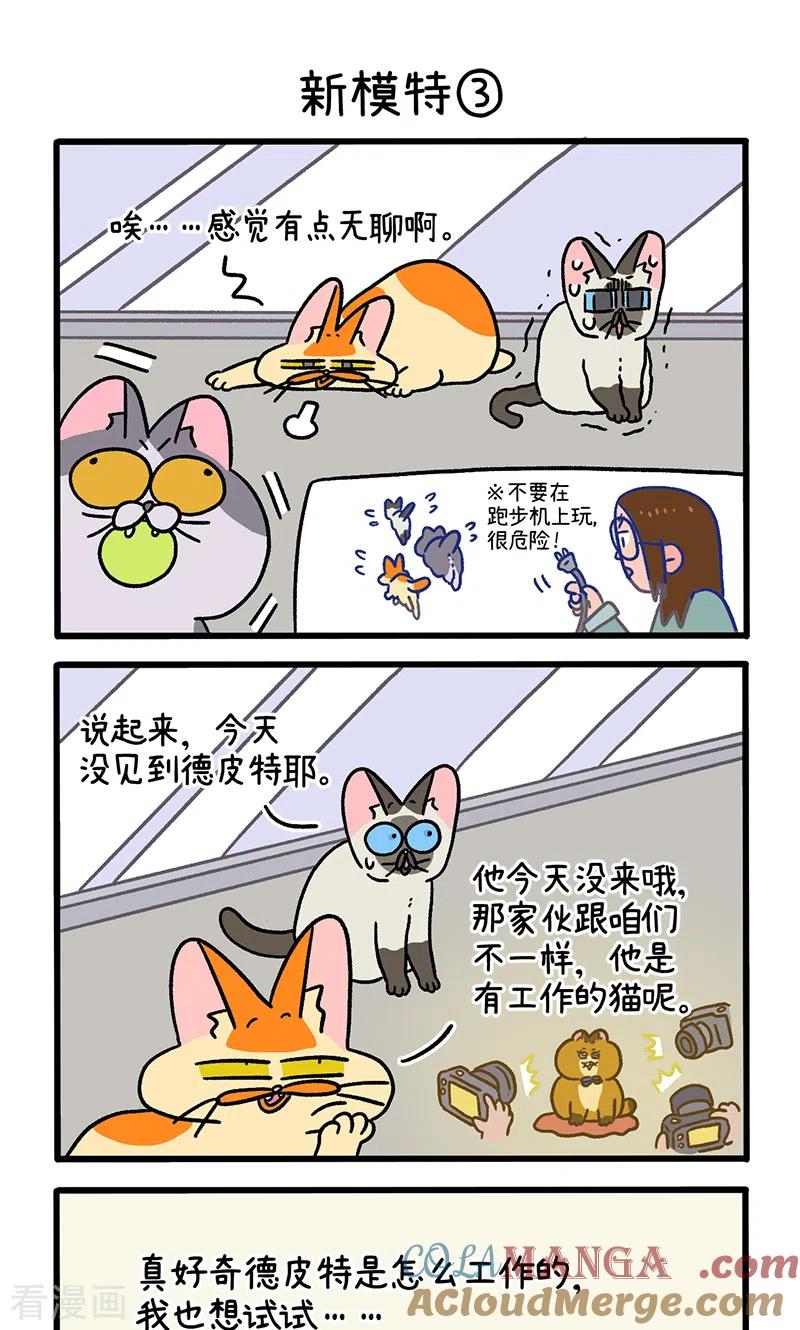 第121话1新模特-阿满和麦茶-新漫画 日胖大海寺（第5张）
