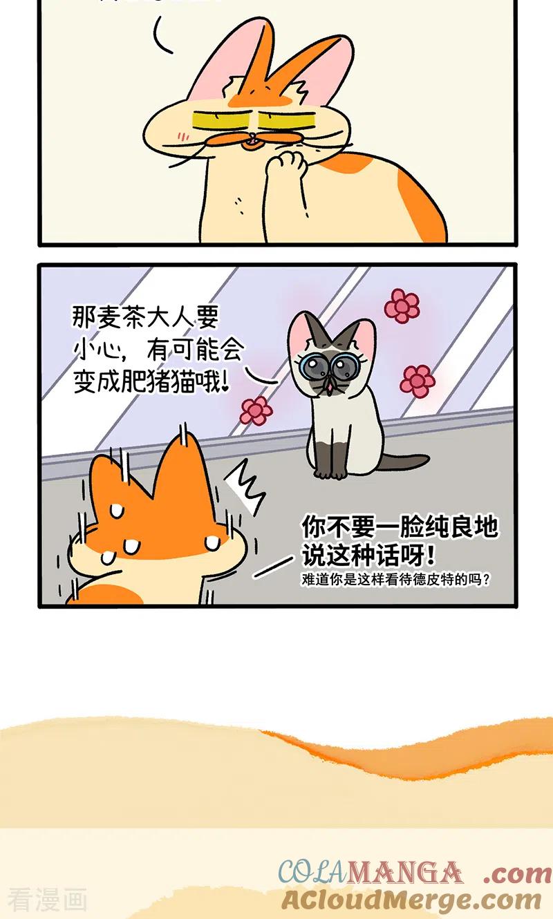 第121话1新模特-阿满和麦茶-新漫画 日胖大海寺（第6张）