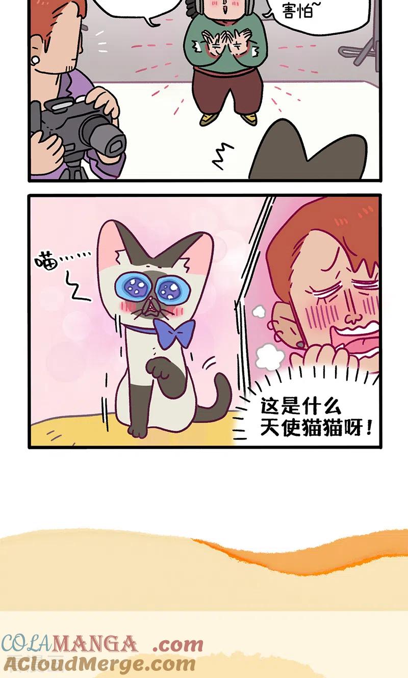 第122话1拍摄日1-阿满和麦茶-新漫画 日胖大海寺（第6张）