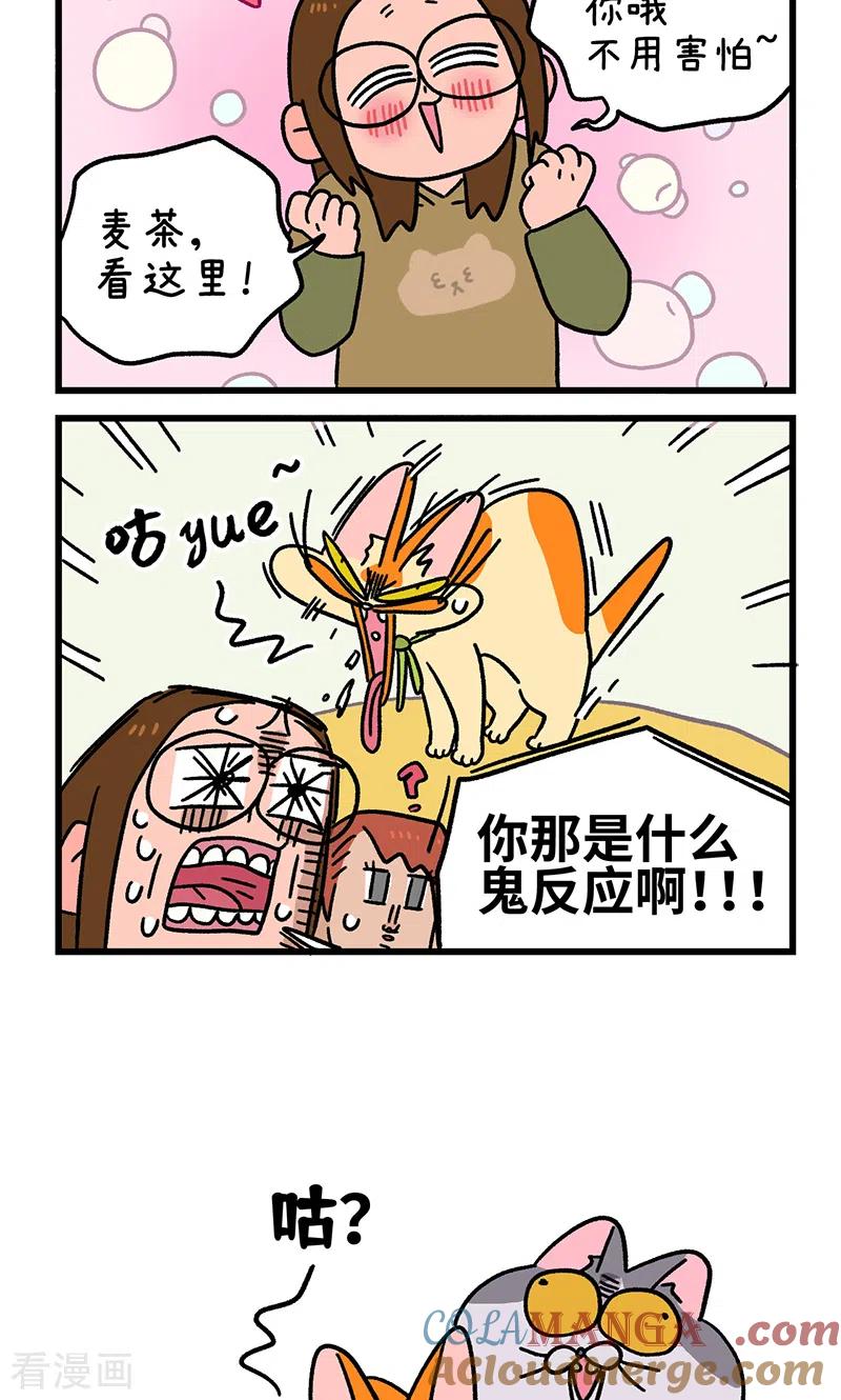 第122话2拍摄日1-阿满和麦茶-新漫画 日胖大海寺（第6张）