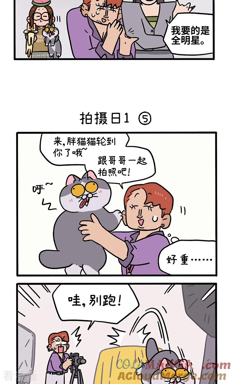 第122话2拍摄日1-阿满和麦茶-新漫画 日胖大海寺（第3张）