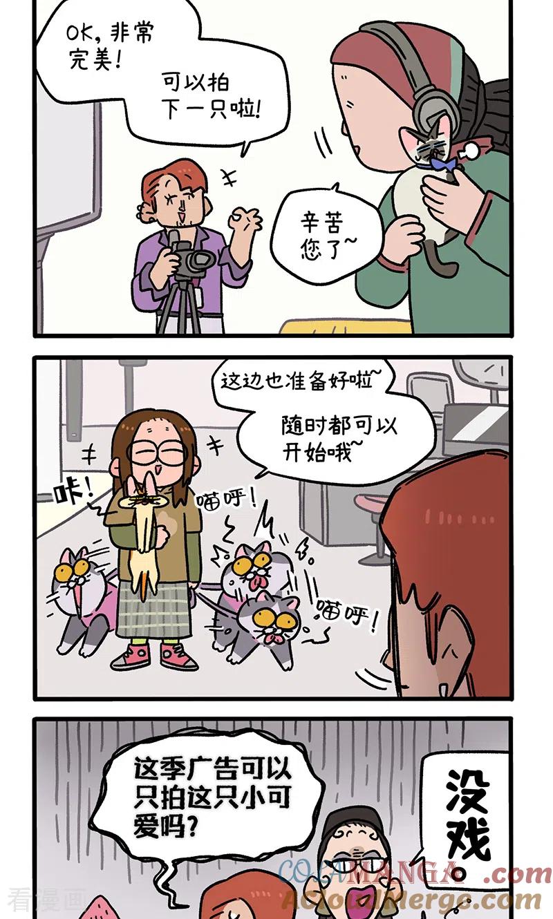 第122话2拍摄日1-阿满和麦茶-新漫画 日胖大海寺（第2张）