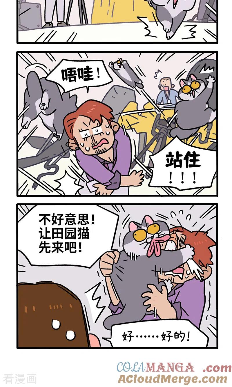第122话2拍摄日1-阿满和麦茶-新漫画 日胖大海寺（第4张）