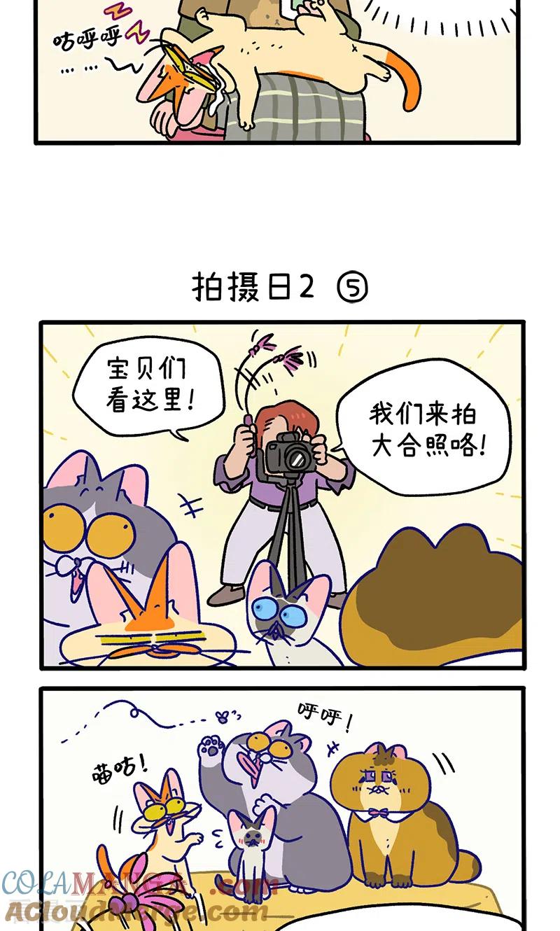 第123话2拍摄日2-阿满和麦茶-新漫画 日胖大海寺（第3张）