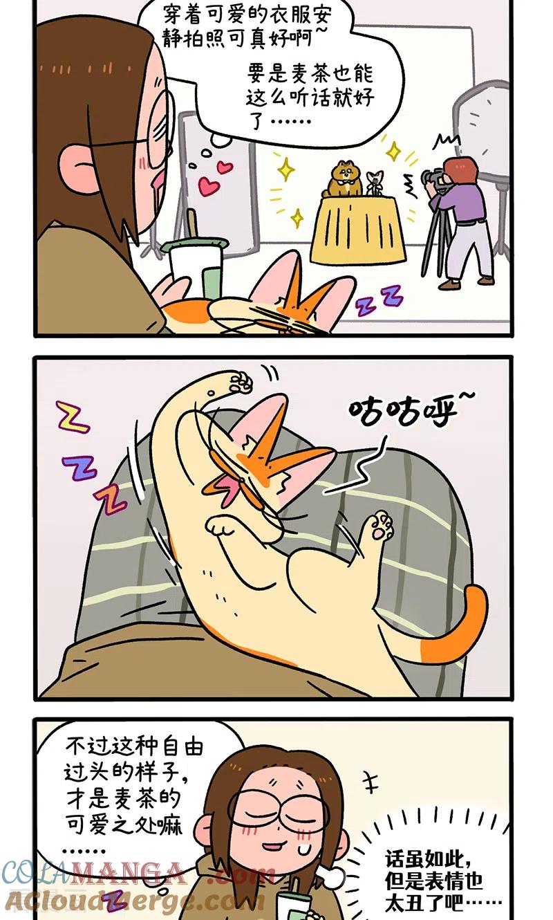 第123话2拍摄日2-阿满和麦茶-新漫画 日胖大海寺（第2张）