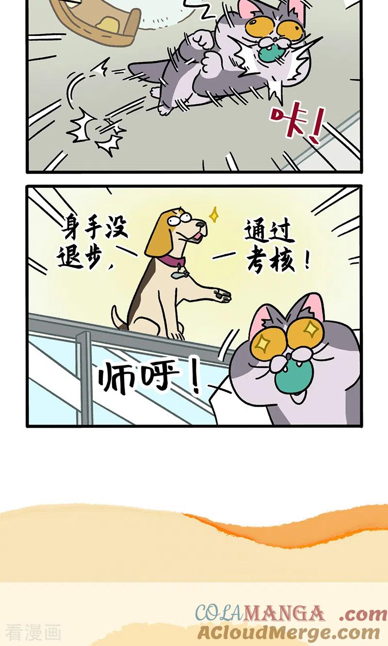 第124话1师傅的坏消息-阿满和麦茶-新漫画 日胖大海寺（第6张）