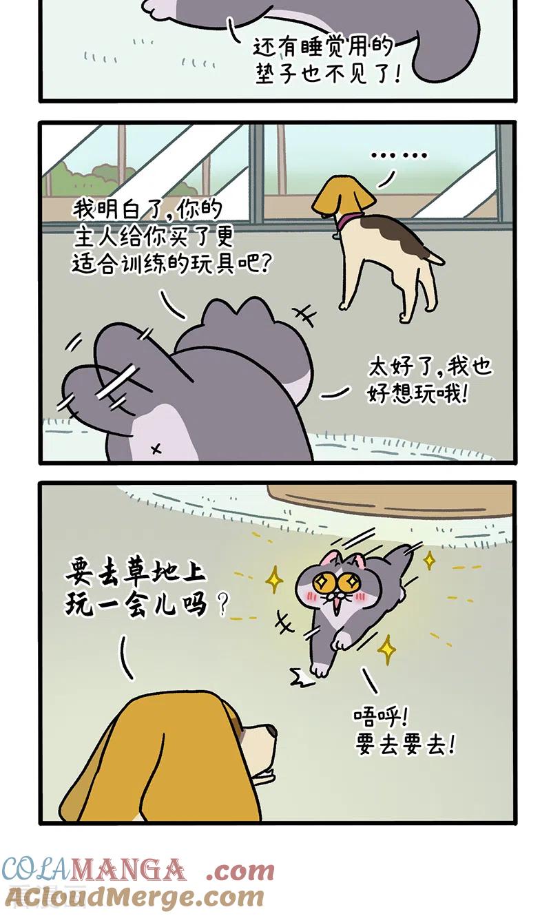 第124话2师傅的坏消息-阿满和麦茶-新漫画 日胖大海寺（第4张）