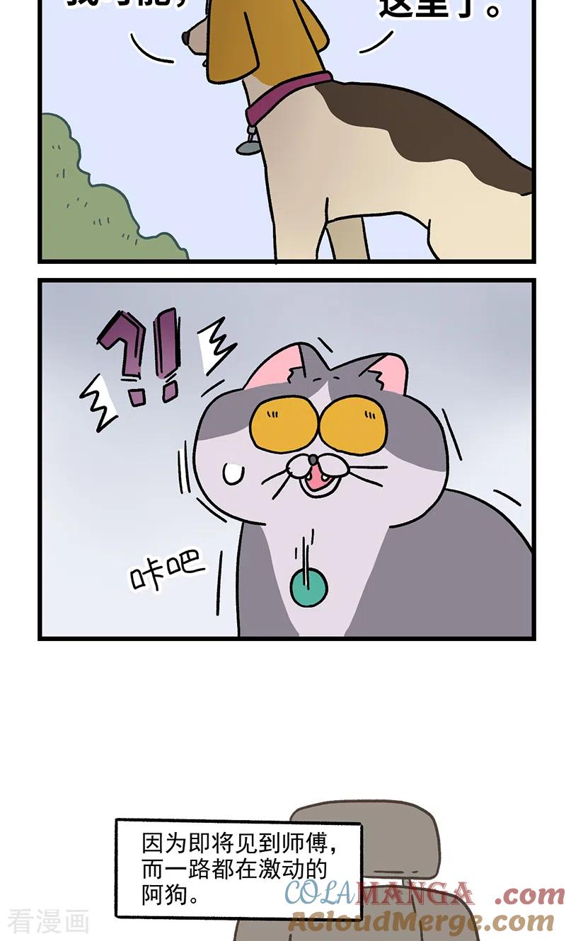 第124话2师傅的坏消息-阿满和麦茶-新漫画 日胖大海寺（第6张）