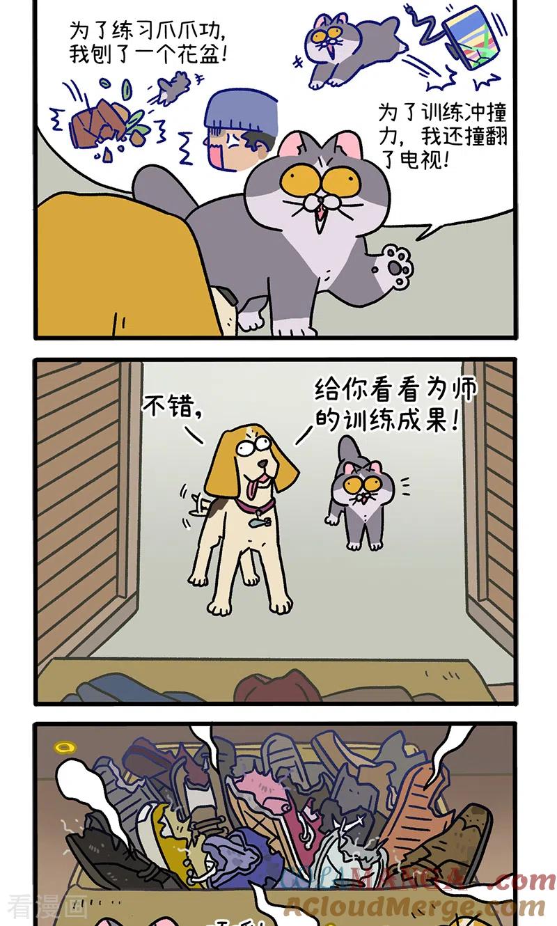 第124话2师傅的坏消息-阿满和麦茶-新漫画 日胖大海寺（第2张）