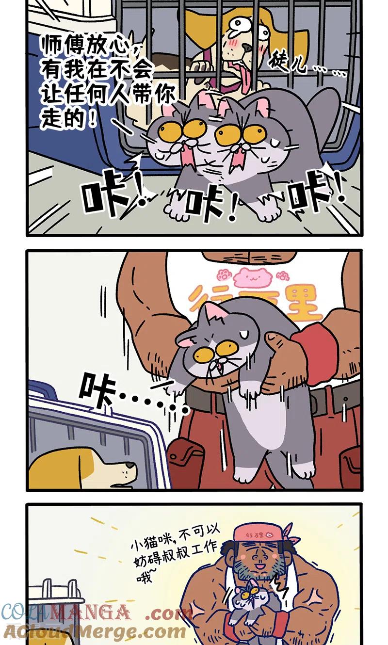第125话2师傅要离开了-阿满和麦茶-新漫画 日胖大海寺（第2张）