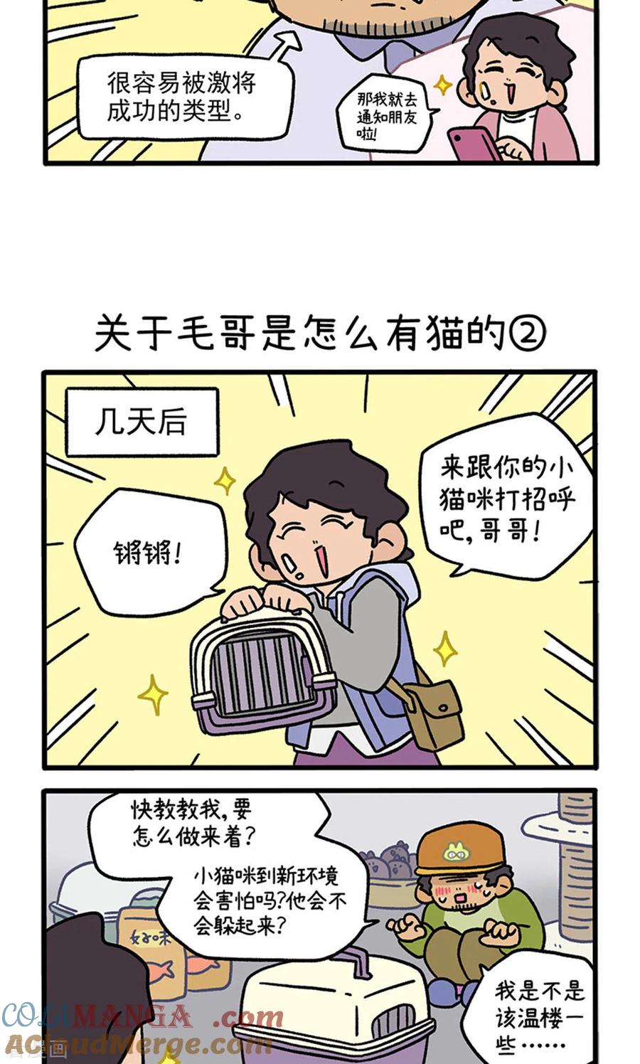 第126话1关于毛哥是怎么有猫的-阿满和麦茶-新漫画 日胖大海寺（第3张）