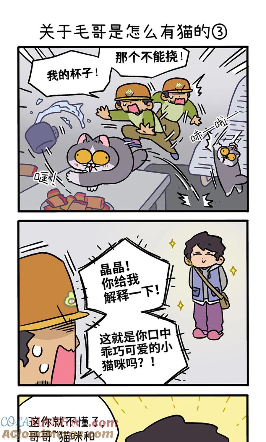 第126话1关于毛哥是怎么有猫的-阿满和麦茶-新漫画 日胖大海寺（第5张）