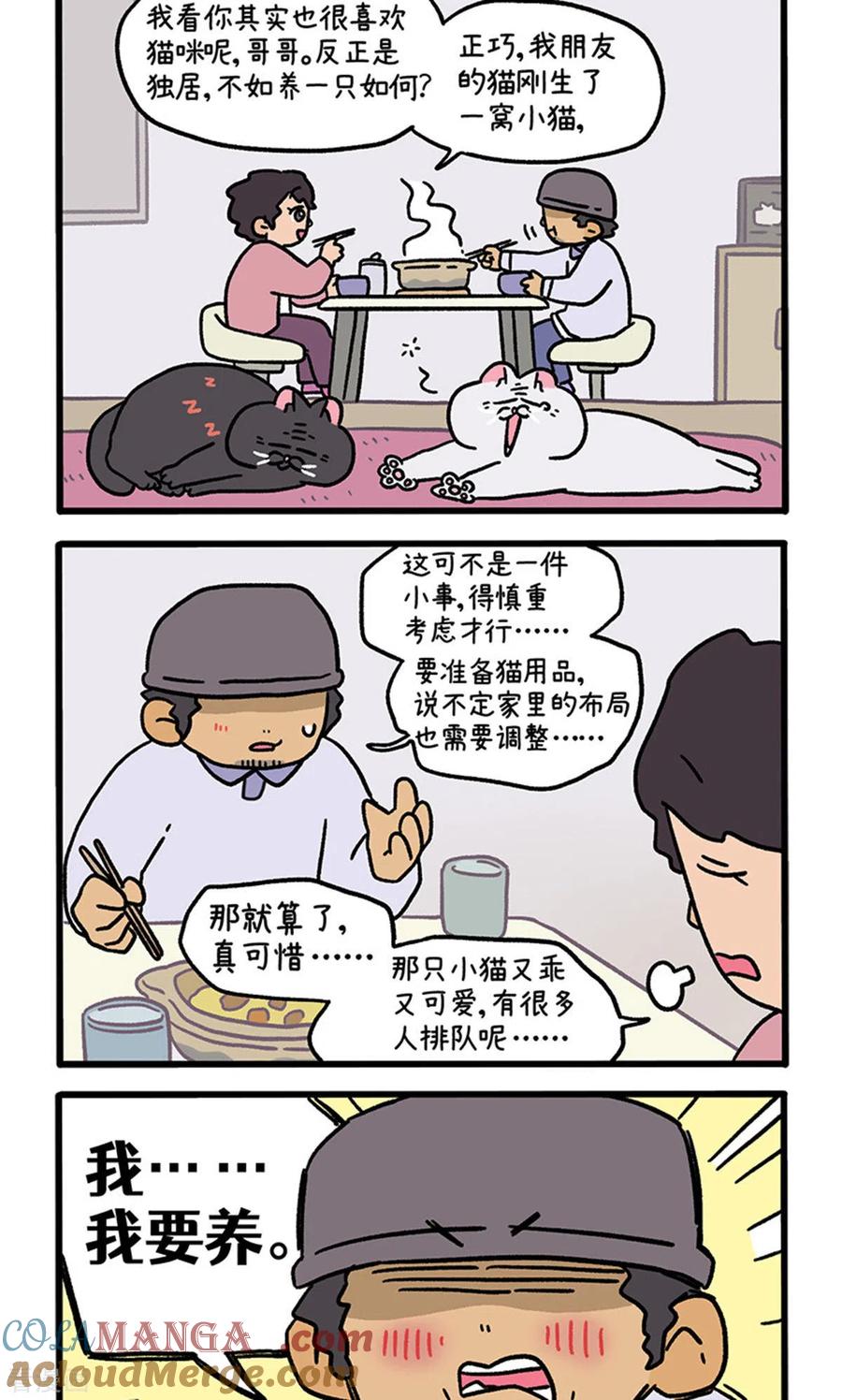 第126话1关于毛哥是怎么有猫的-阿满和麦茶-新漫画 日胖大海寺（第2张）