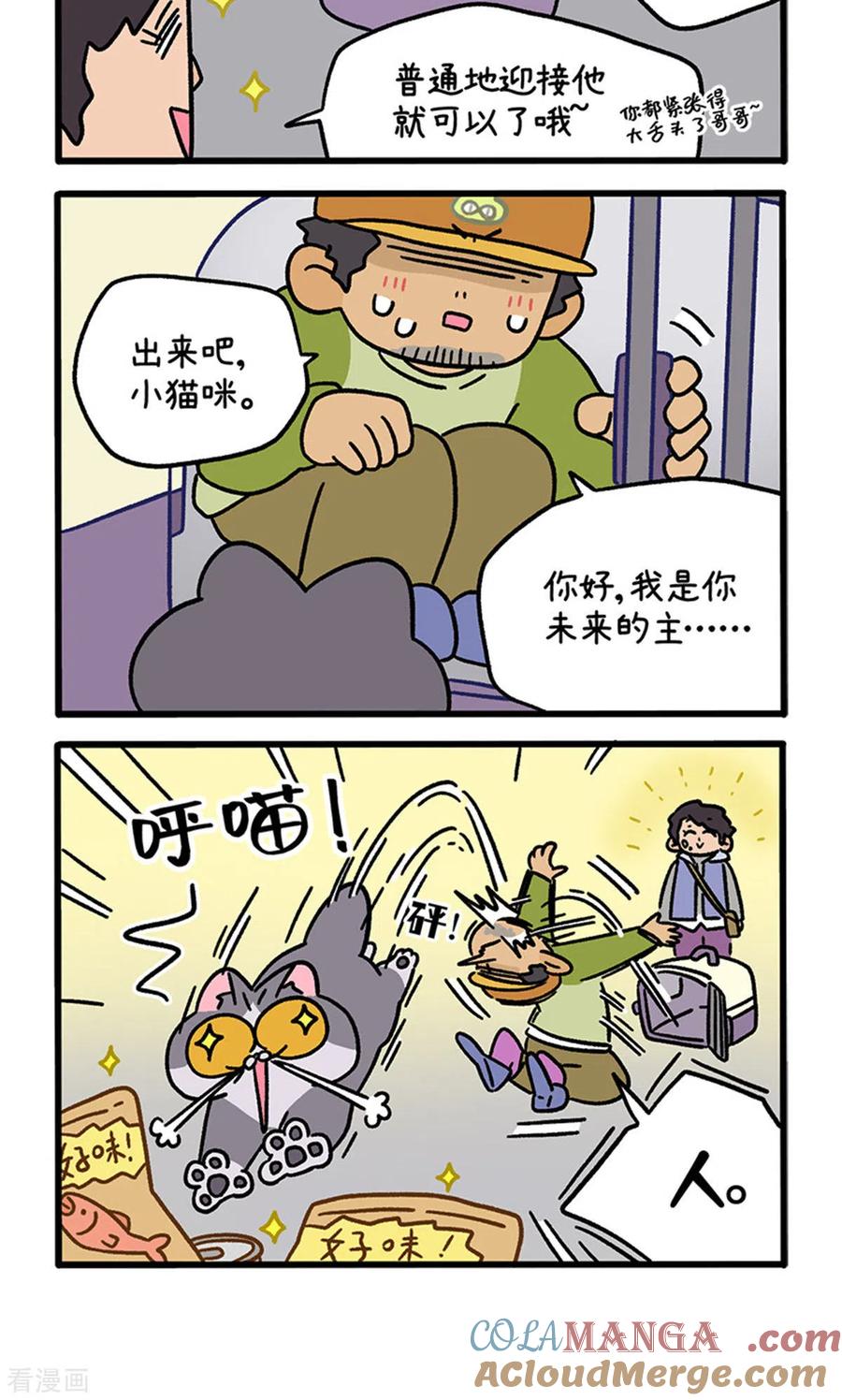 第126话1关于毛哥是怎么有猫的-阿满和麦茶-新漫画 日胖大海寺（第4张）