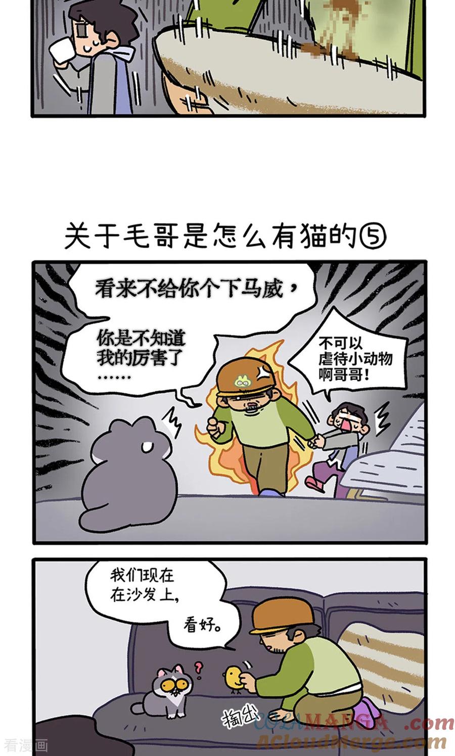 第126话2关于毛哥是怎么有猫的-阿满和麦茶-新漫画 日胖大海寺（第3张）