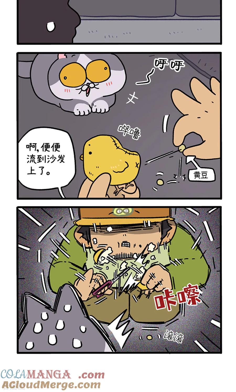 第126话2关于毛哥是怎么有猫的-阿满和麦茶-新漫画 日胖大海寺（第4张）