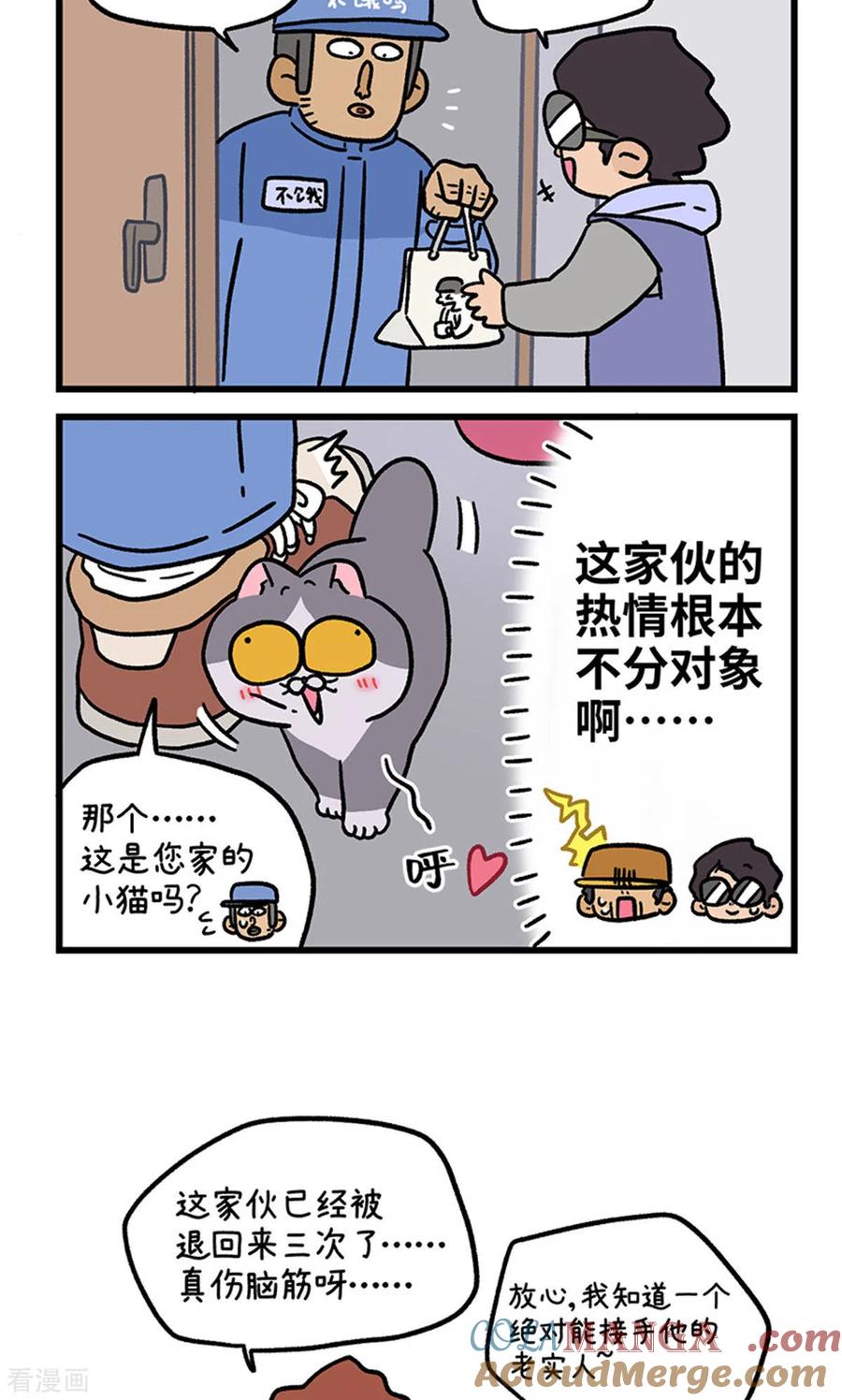 第126话2关于毛哥是怎么有猫的-阿满和麦茶-新漫画 日胖大海寺（第6张）