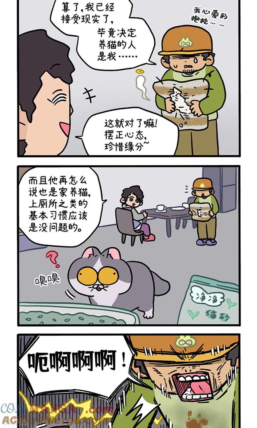 第126话2关于毛哥是怎么有猫的-阿满和麦茶-新漫画 日胖大海寺（第2张）