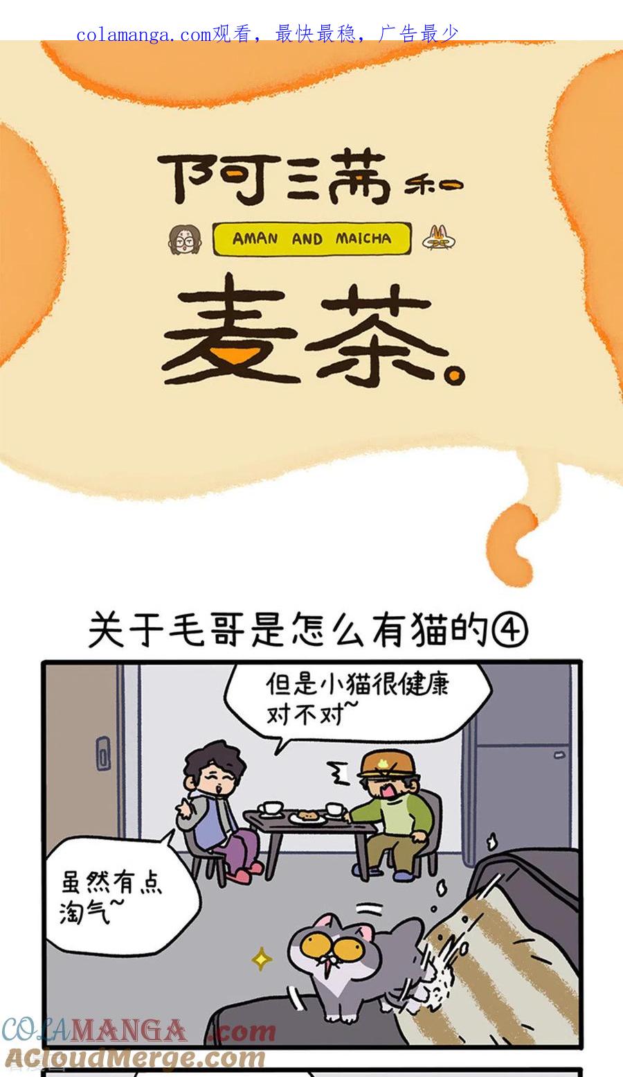 第126话2关于毛哥是怎么有猫的-阿满和麦茶-新漫画 日胖大海寺（第1张）