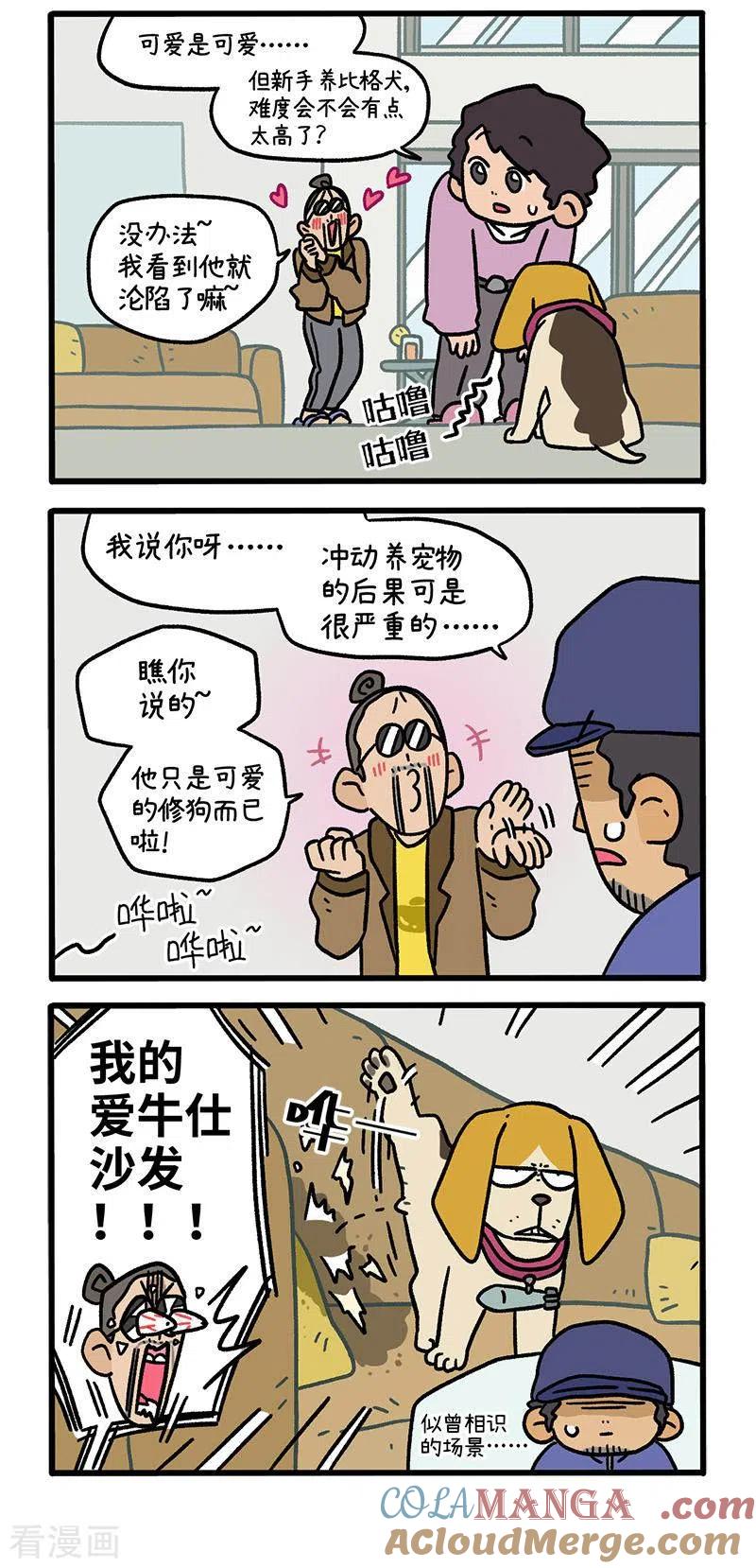 第127话1关于毛哥是怎么有狗的-阿满和麦茶-新漫画 日胖大海寺（第3张）