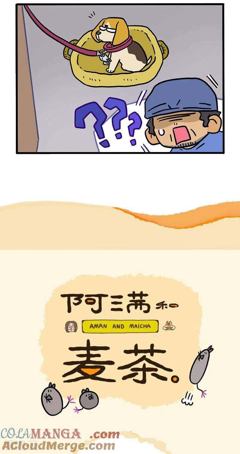 第127话1关于毛哥是怎么有狗的-阿满和麦茶-新漫画 日胖大海寺（第5张）