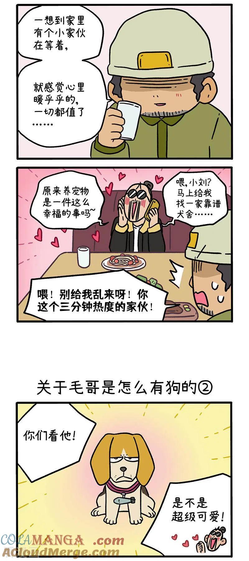 第127话1关于毛哥是怎么有狗的-阿满和麦茶-新漫画 日胖大海寺（第2张）
