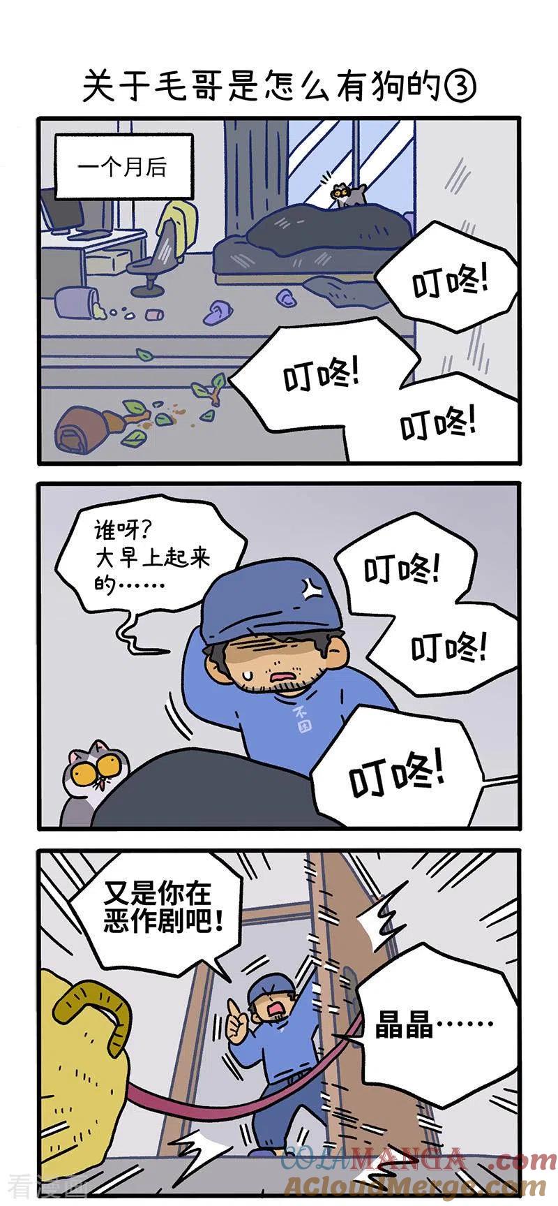 第127话1关于毛哥是怎么有狗的-阿满和麦茶-新漫画 日胖大海寺（第4张）