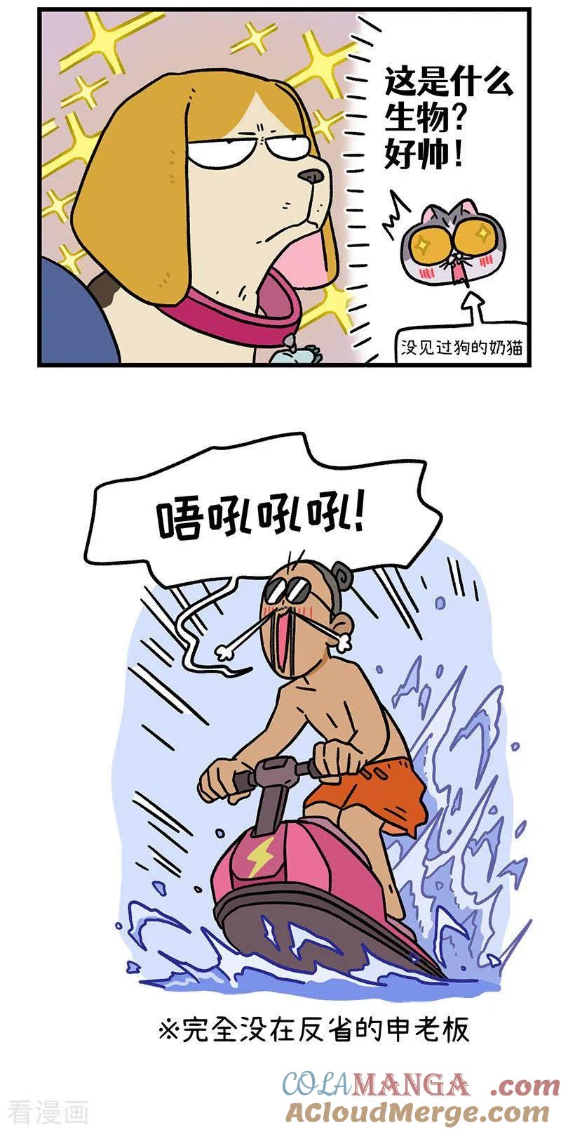 第127话2关于毛哥是怎么有狗的-阿满和麦茶-新漫画 日胖大海寺（第5张）