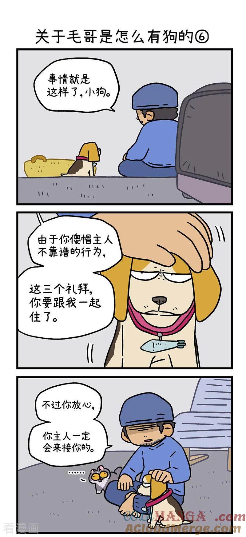 第127话2关于毛哥是怎么有狗的-阿满和麦茶-新漫画 日胖大海寺（第4张）