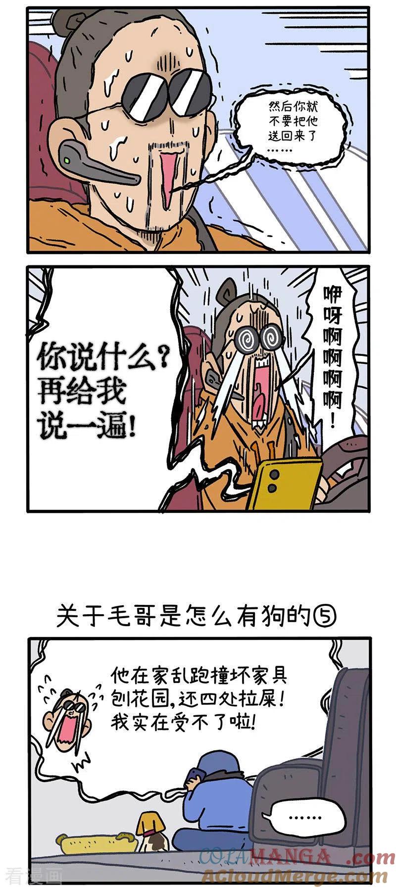 第127话2关于毛哥是怎么有狗的-阿满和麦茶-新漫画 日胖大海寺（第2张）