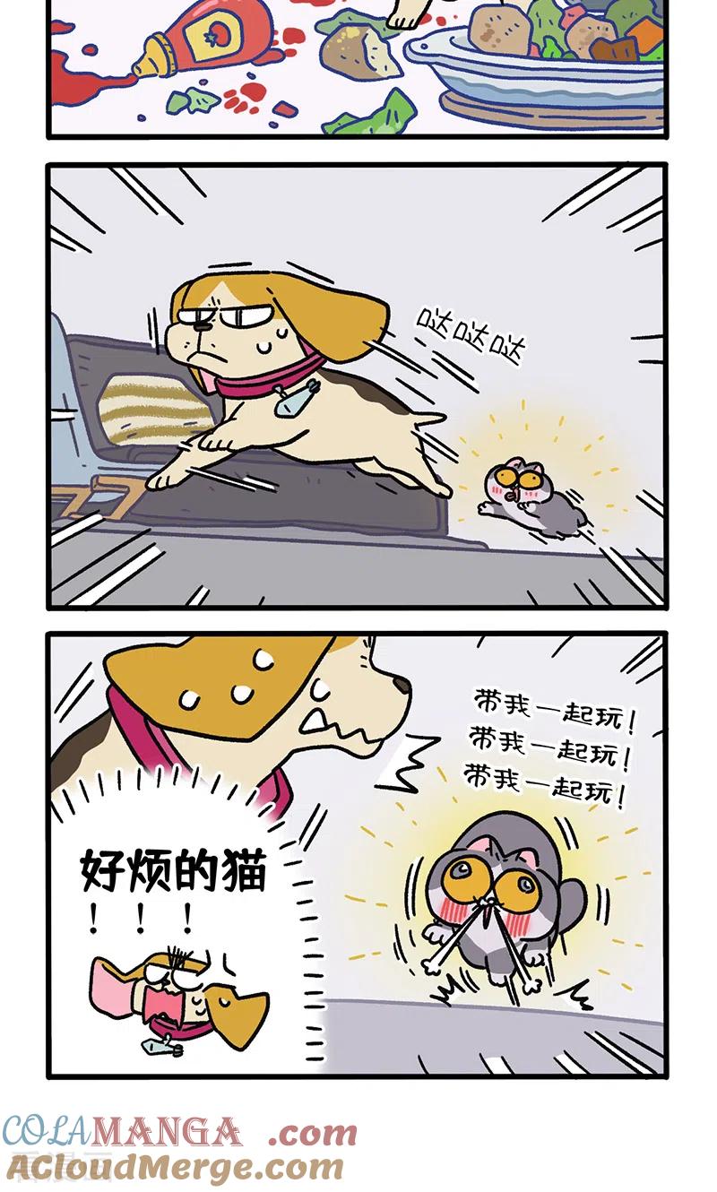 第128话1关于猫狗是怎么相识的-阿满和麦茶-新漫画 日胖大海寺（第4张）