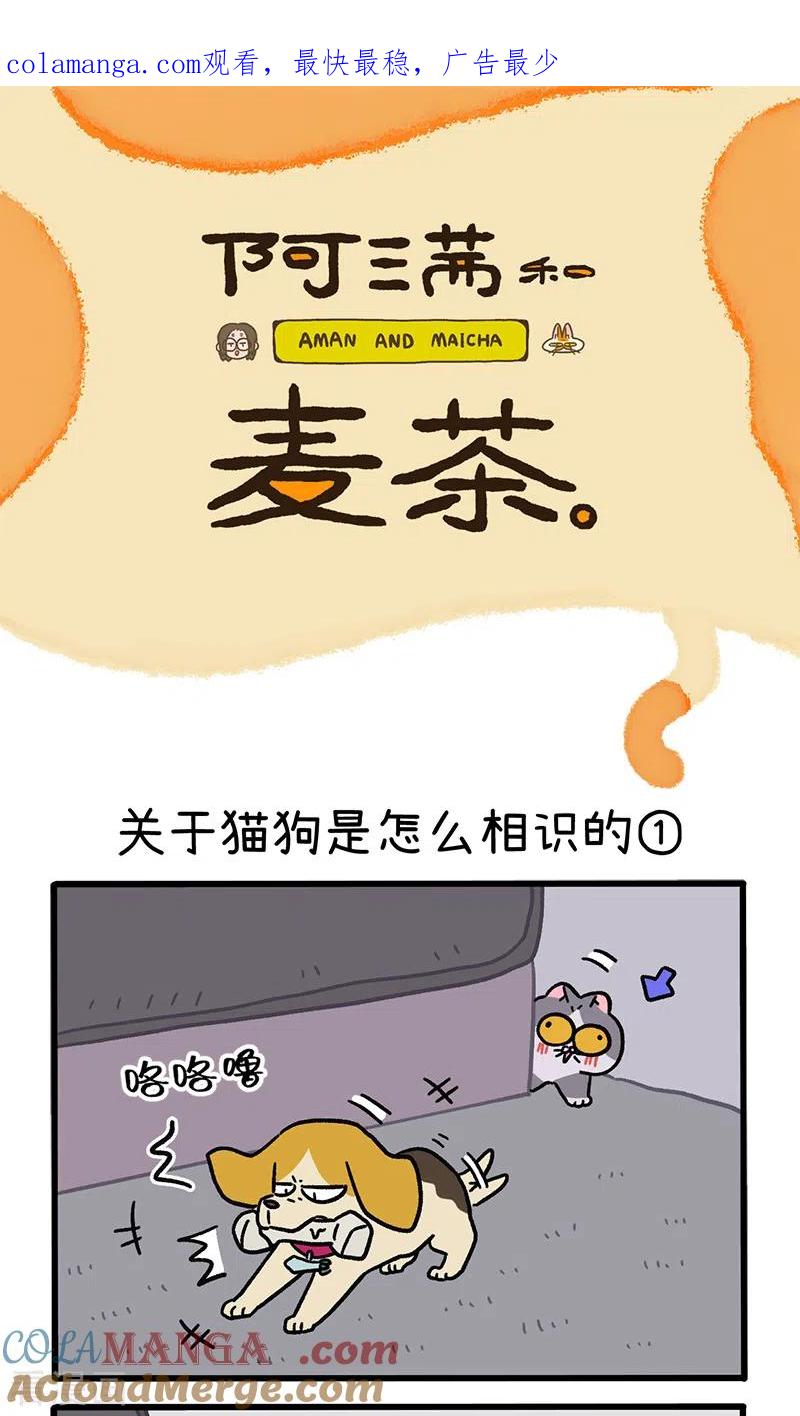 第128话1关于猫狗是怎么相识的-阿满和麦茶-新漫画 日胖大海寺（第1张）
