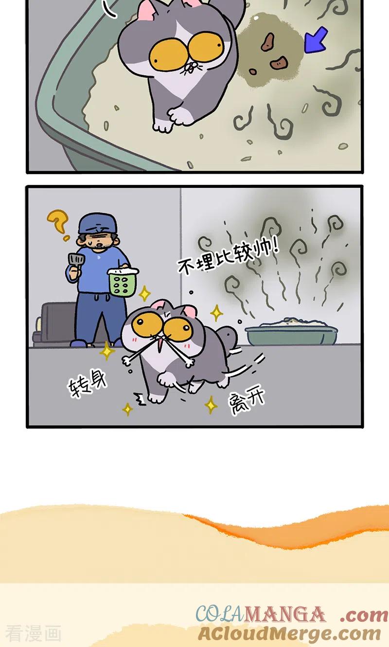 第128话1关于猫狗是怎么相识的-阿满和麦茶-新漫画 日胖大海寺（第6张）