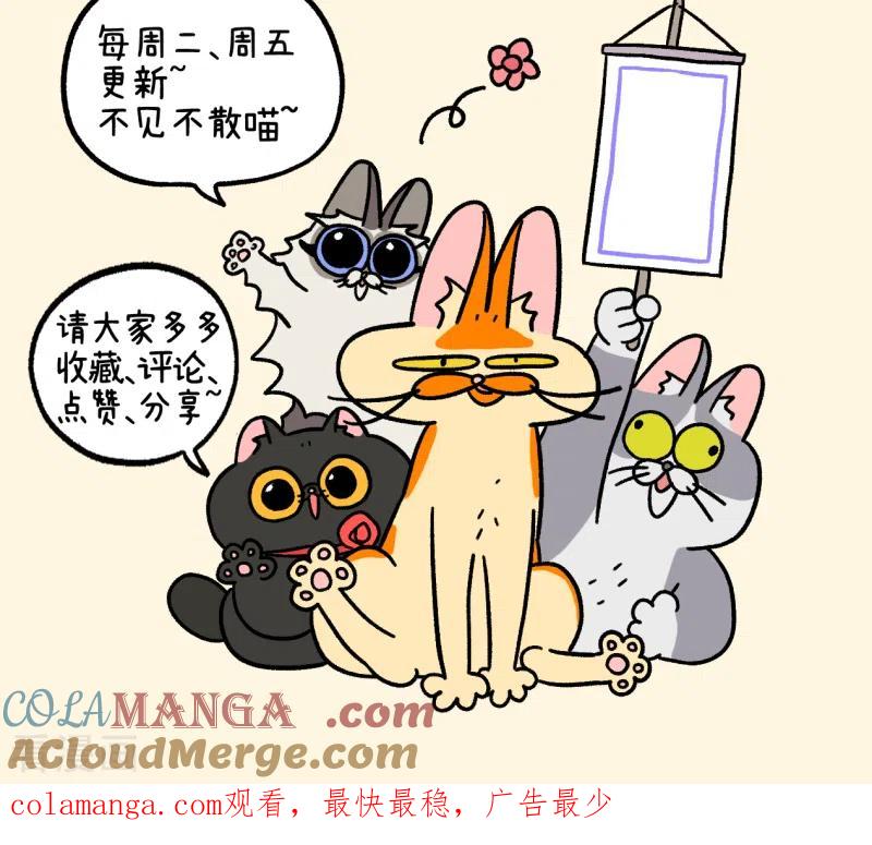 第128话1关于猫狗是怎么相识的-阿满和麦茶-新漫画 日胖大海寺（第8张）